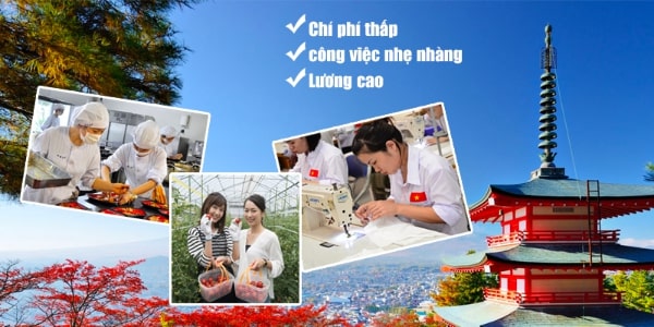 Những quyền lợi của Thực tập sinh Nhật Bản Những quyền lợi của Thực tập sinh Nhật Bản