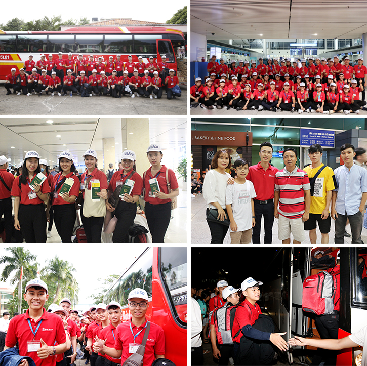 Hoạt động tại Suleco