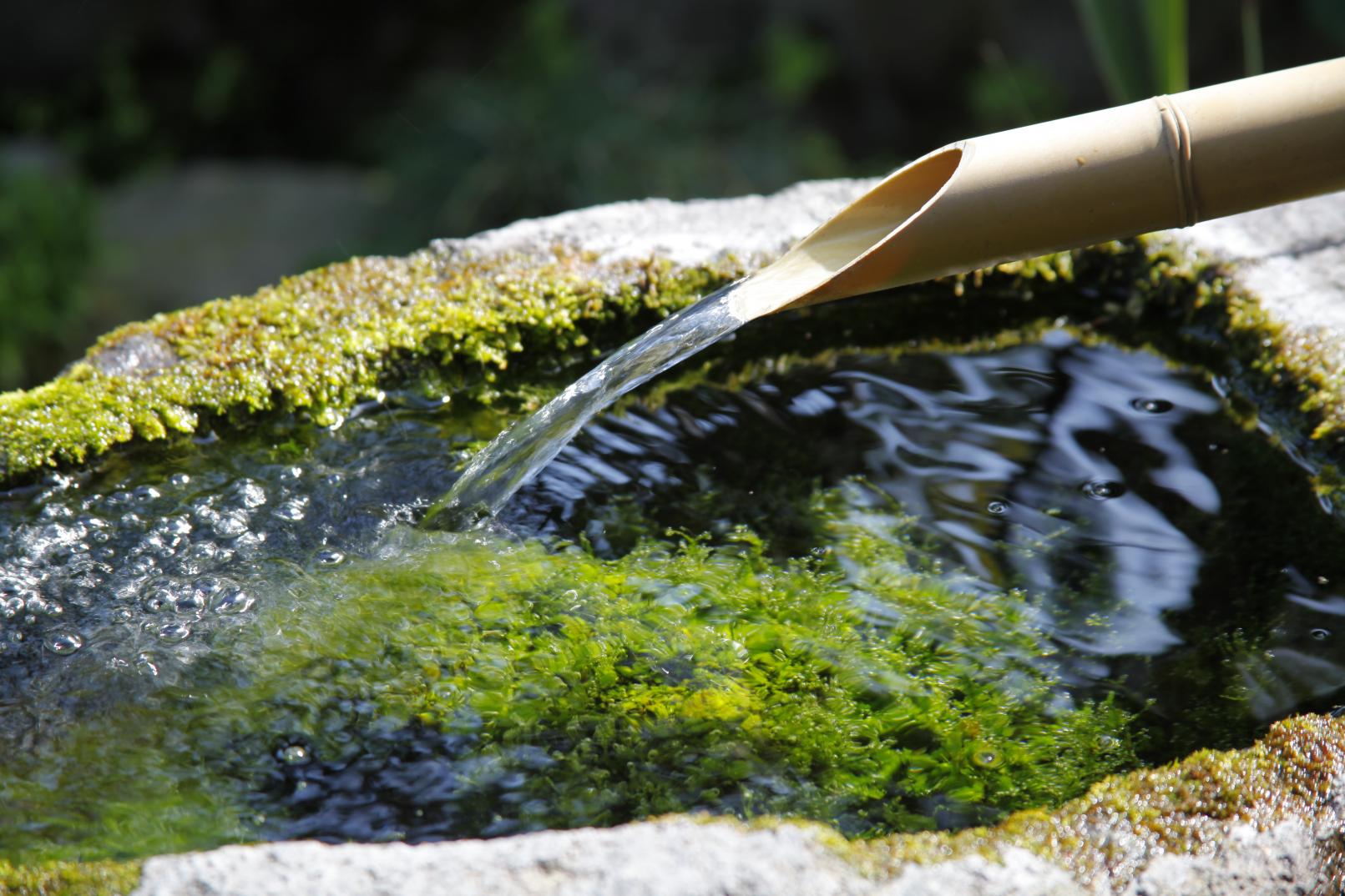 Từ thiên nhiên đến cuộc sống – Điều đặc biệt về nguồn nước ở Nhật Bản