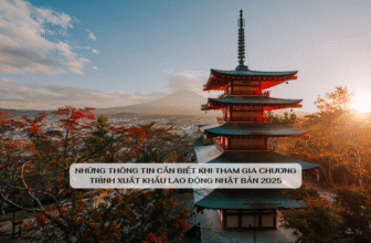 Những thông tin cần biết khi tham gia chương trình xuất khẩu lao động Nhật Bản 2025